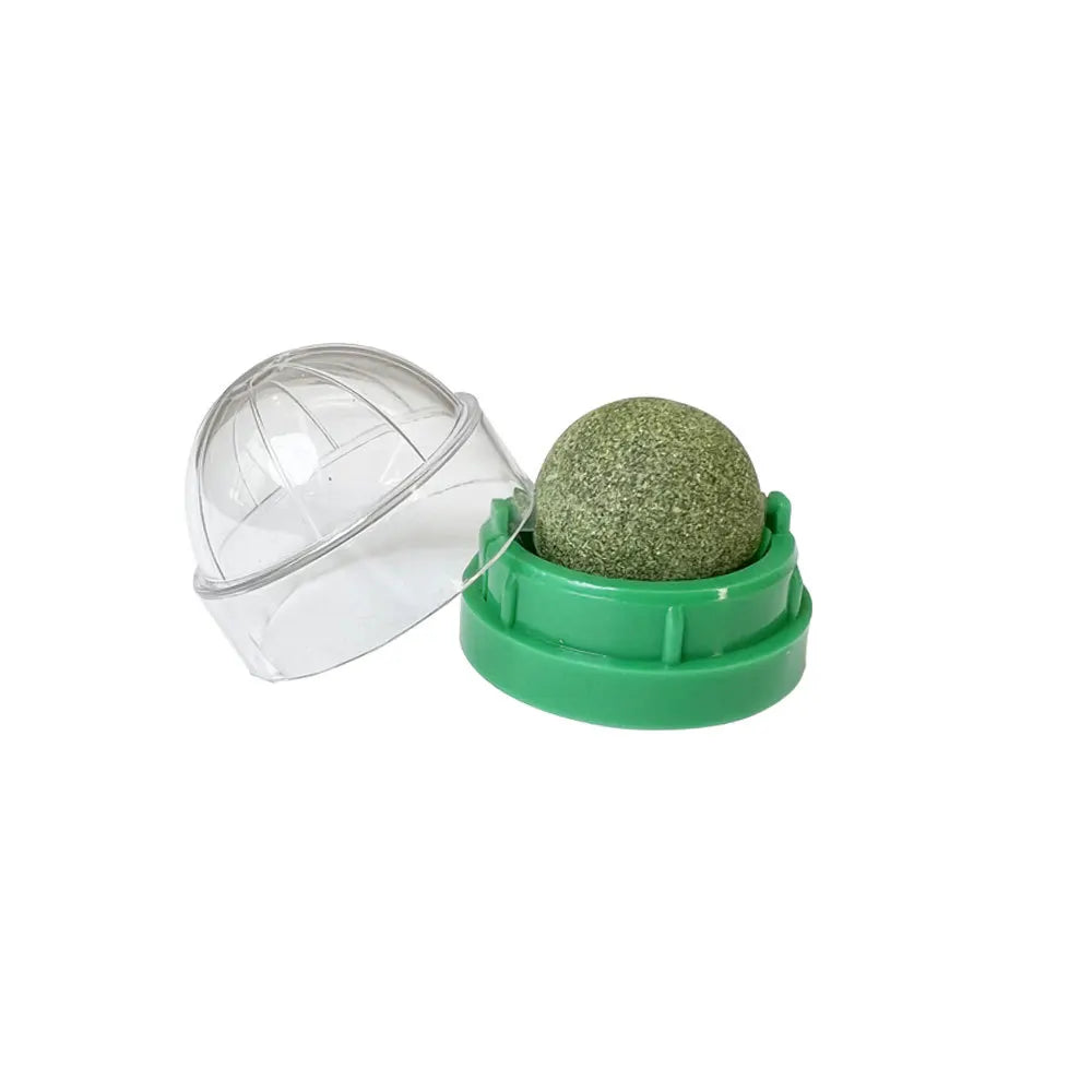 Pawsome Fun Catnip Ball