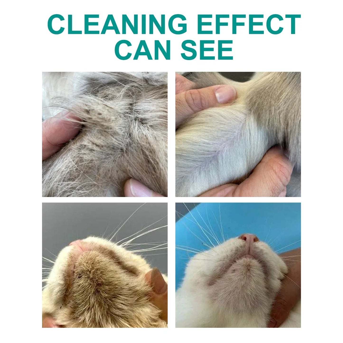 No-Rinse Pet Cleaning Gloves – Disposable Wipes