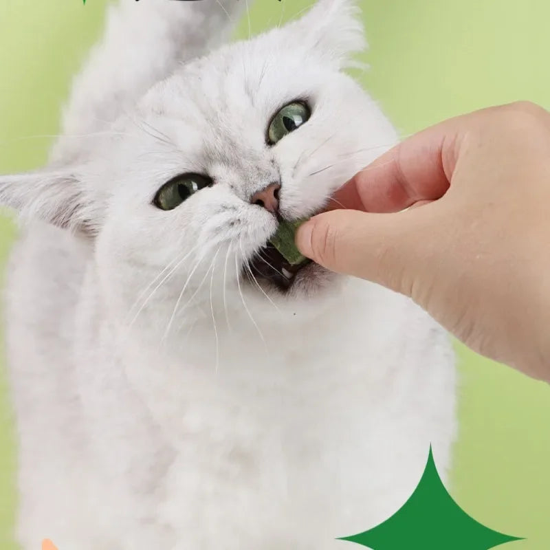 Freeze-Dried Catgrass Hairball Treats