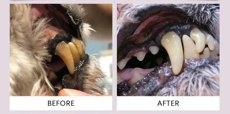 Dog Dental Pro™