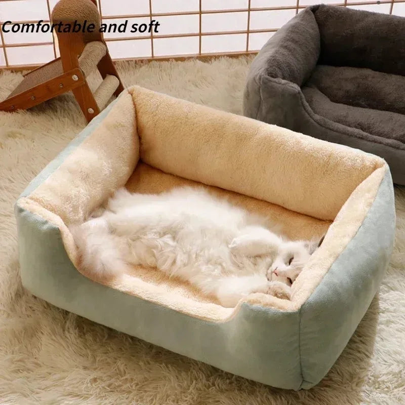 CozyCat Bed & Mat – Ultimate Comfort for Cats