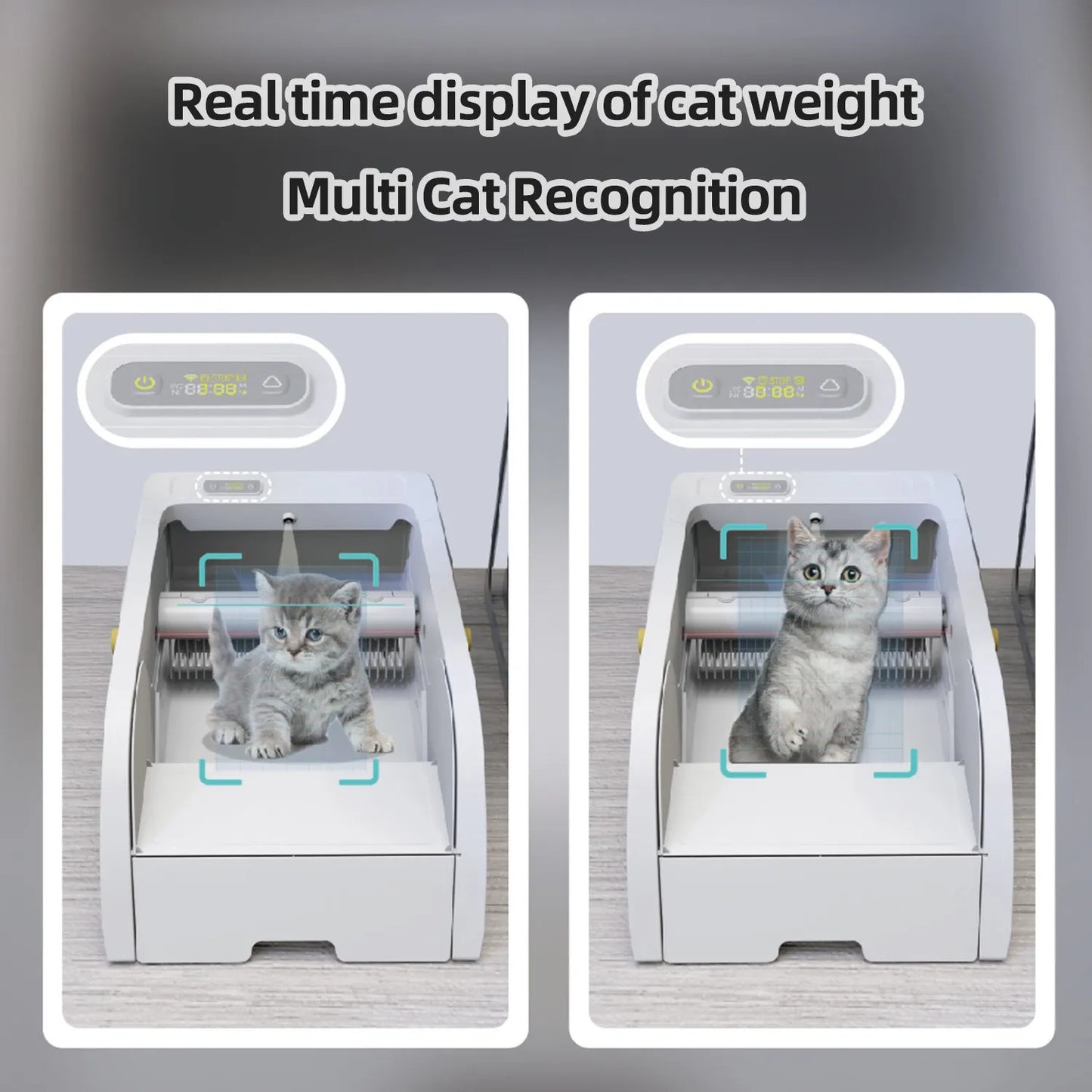 AutoClean Smart Cat Litter Box cat recognition