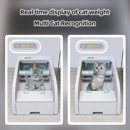 AutoClean Smart Cat Litter Box cat recognition