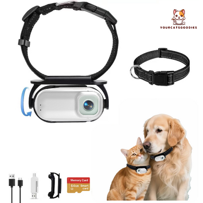 Pet camera device with collar, camera, and accessories with dog and cat on a white background.