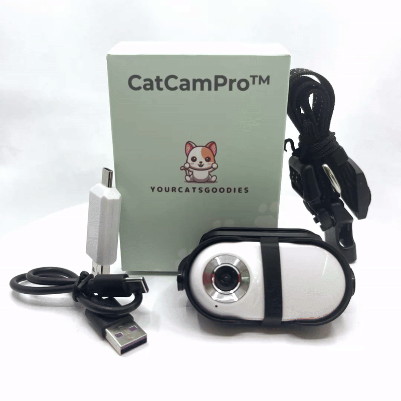 GIF of CatCamPro packaging and cat camera