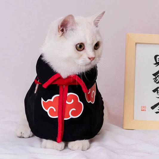 A white cat wearing a black cloak and red collar, resembling a character's outfit from a popular anime series, next to a picture frame with Japanese characters.