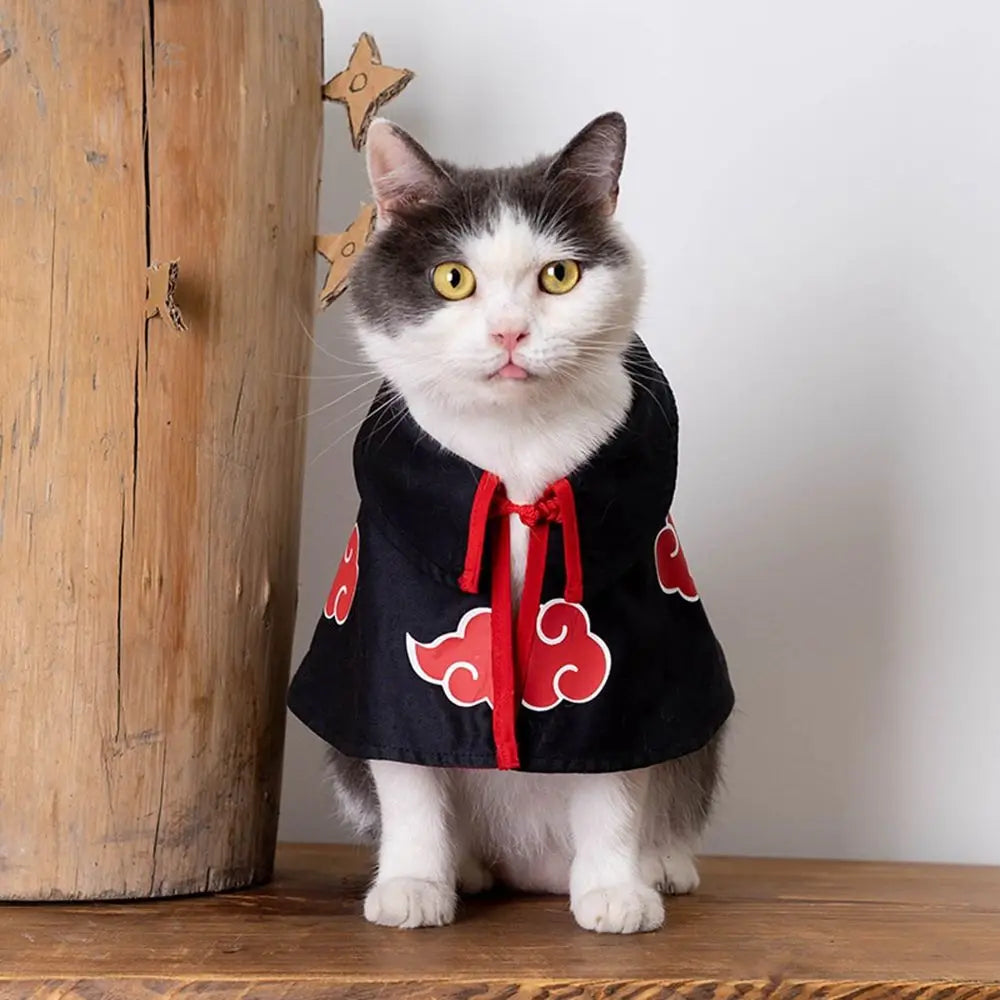 Cat Cloak & Cosplay Costume