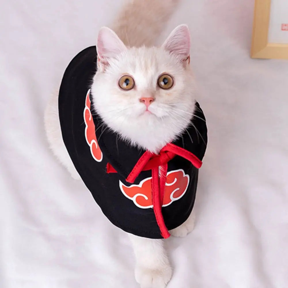 Cat Cloak & Cosplay Costume