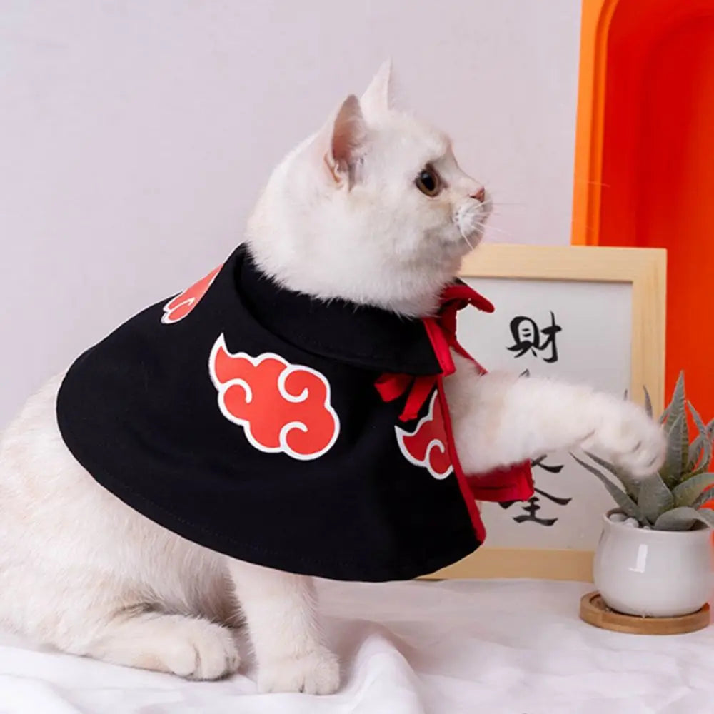 Cat Cloak & Cosplay Costume