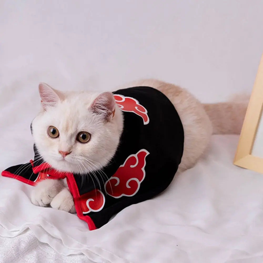 Cat Cloak & Cosplay Costume
