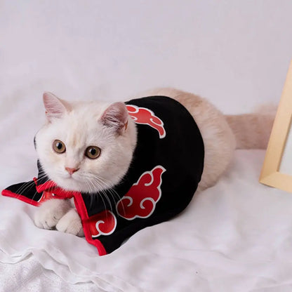 Cat Cloak & Cosplay Costume