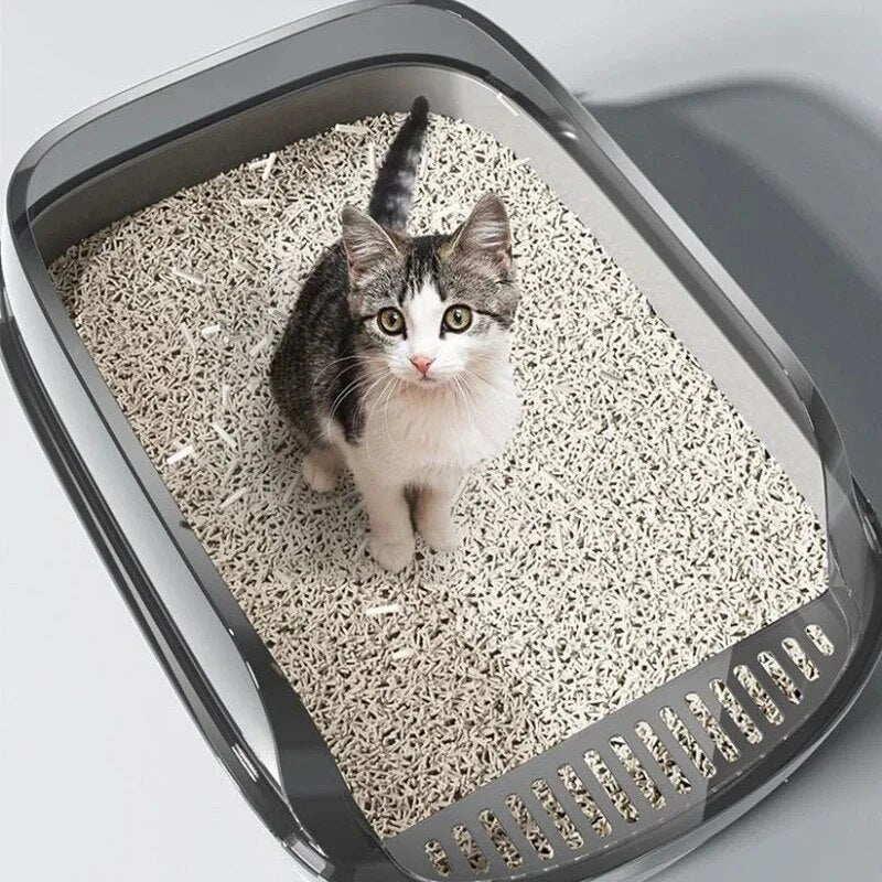 A small kitten sitting inside a extra large gray cat litter box filled with litter, placed on a white floor.