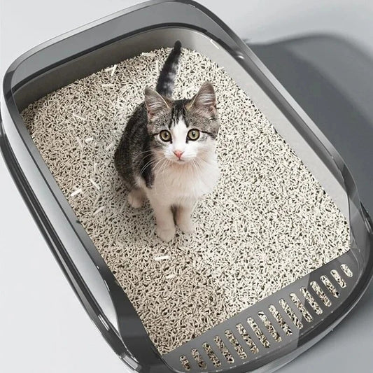 A small kitten sitting inside a extra large gray cat litter box filled with litter, placed on a white floor.