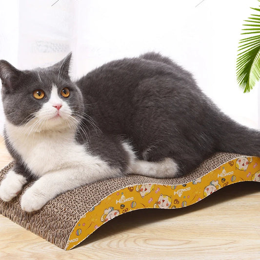 A gray cat resting on a multi-functional scratch and play ground designed for cats.
