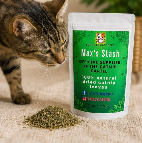 Max's Stash Catnip