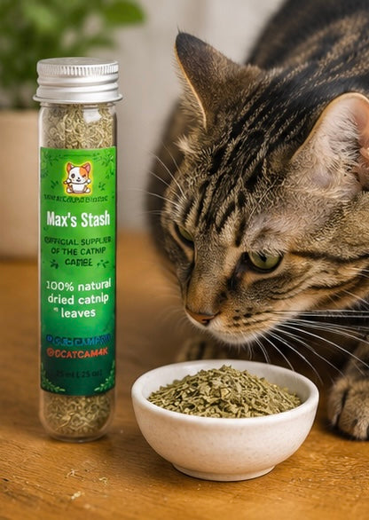 Max's Stash Catnip