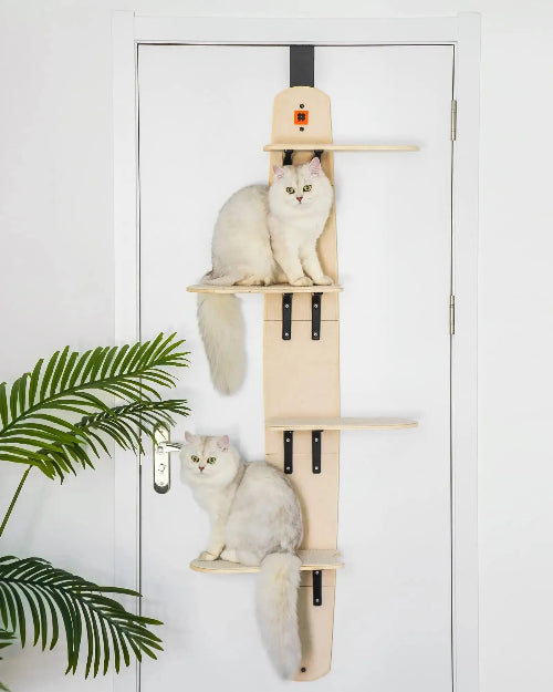 Two white cats sitting on a hanging pine wood cat bed that is mounted on a door, with scratch-resistant boards and black fasteners.