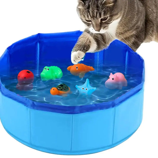 A cat playing with colorful toys in a blue foldable pet bath and play pool.
