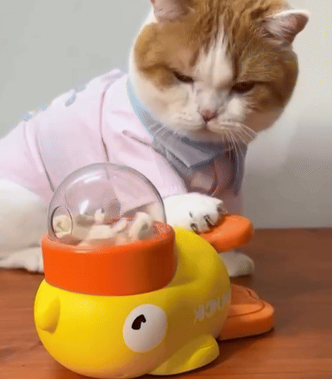 GIF of interactive cat toy feeder