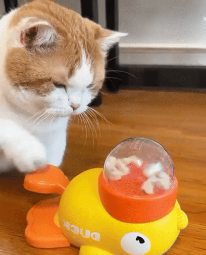 GIF of interactive Cat toy feeder