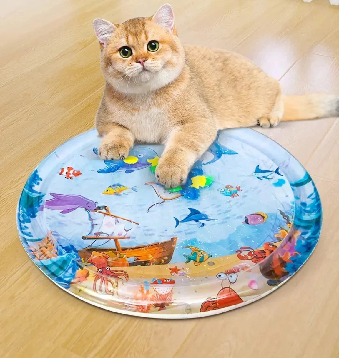 A cat lying on a round water-filled bed with a colorful sea creature print.