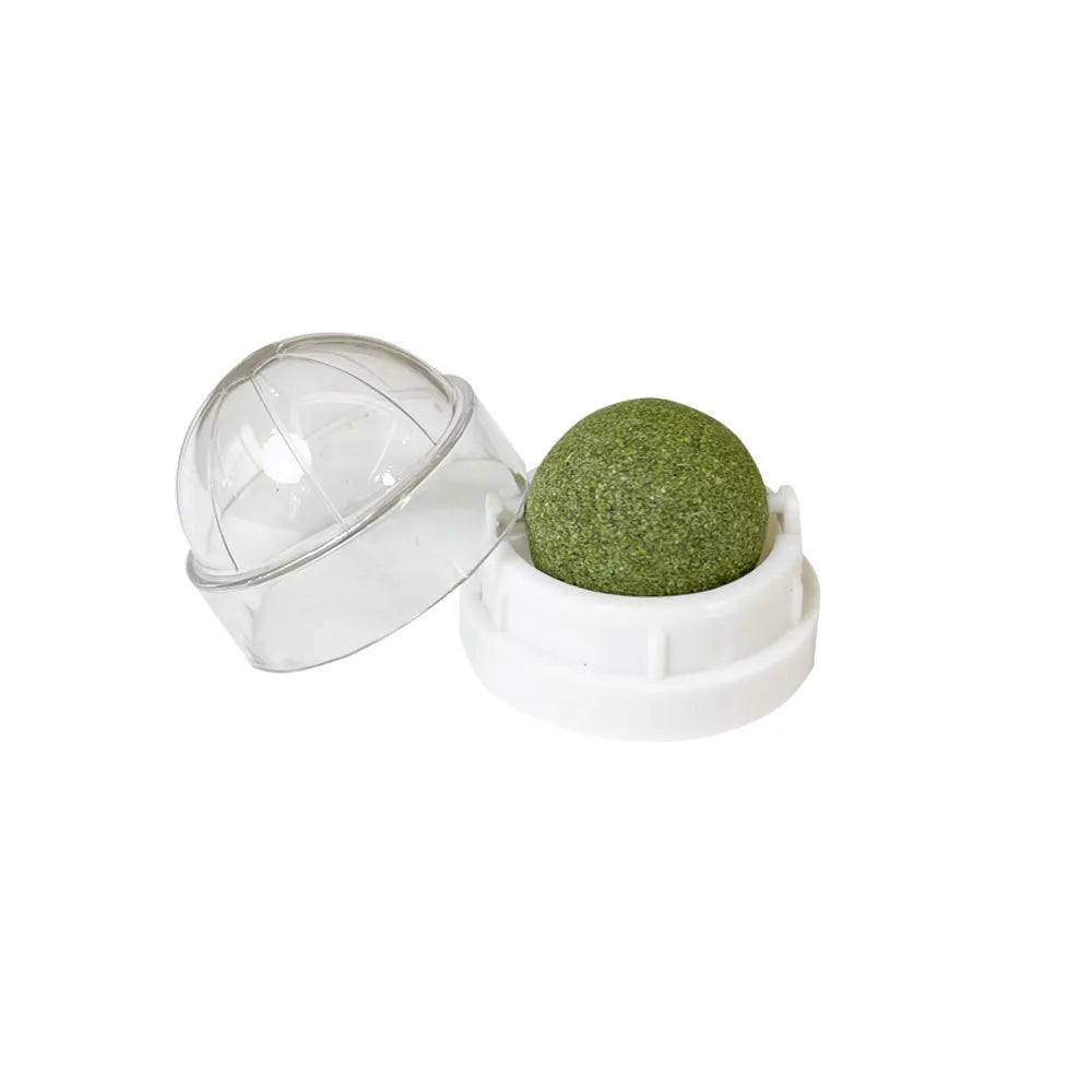 Pawsome Fun Catnip Ball