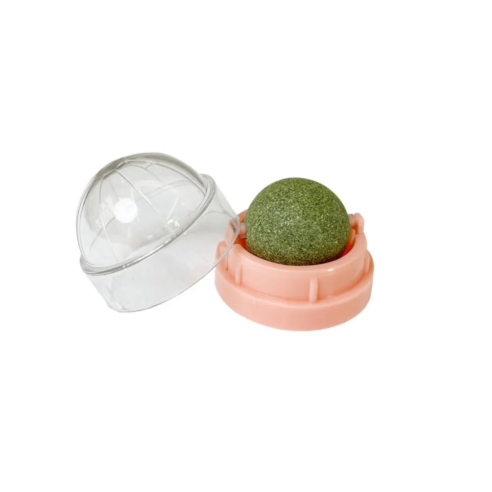 Pawsome Fun Catnip Ball