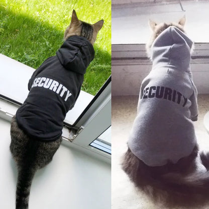 A cat wearing a black hoodie with the text 'SECURITY' printed on the back, sitting by a window.