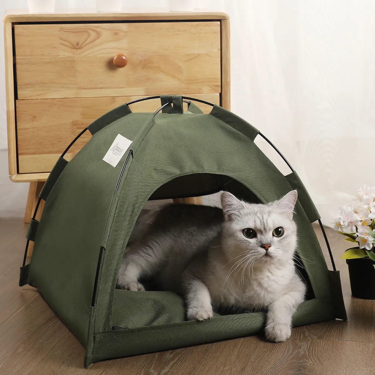 A cat sitting inside a green indoor/outdoor cat tent.