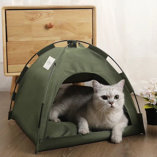 A cat sitting inside a green indoor/outdoor cat tent.