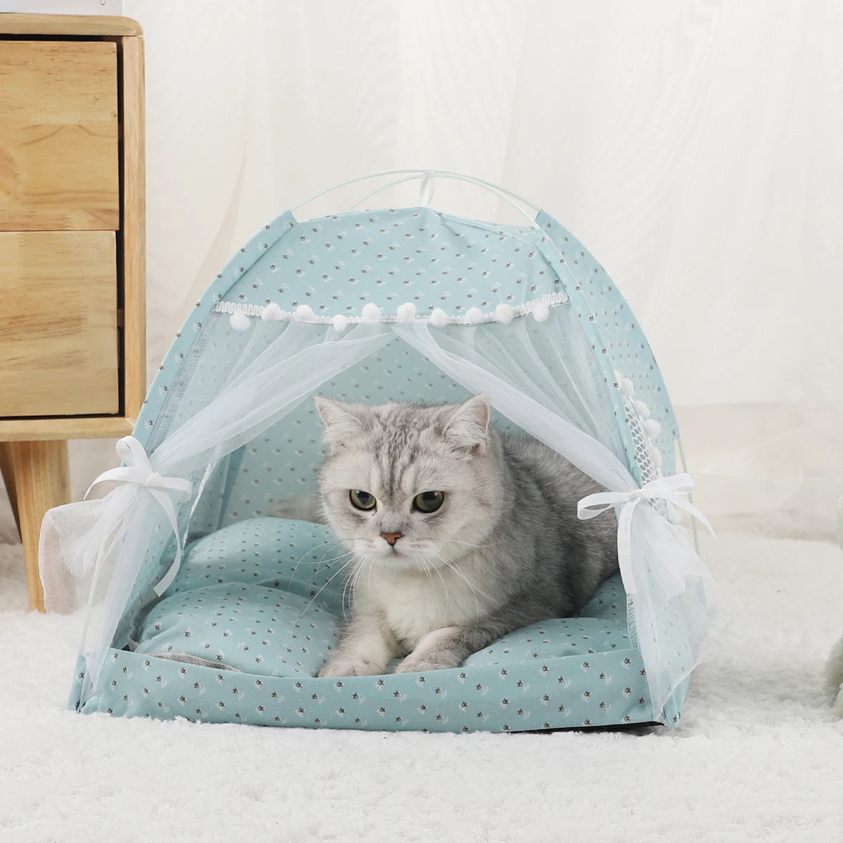 Purrfect Tenthouse: Luxury Indoor/Outdoor Cat Tent