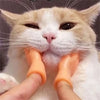 Paw-sitively Hilarious Crossed Hands Fidget for Cats