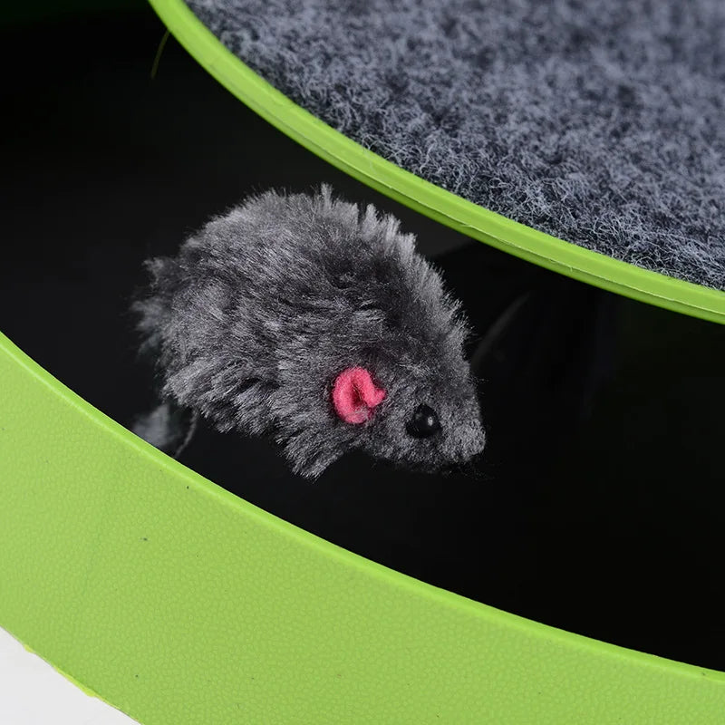 Interactive Triple Disc Cat Toy