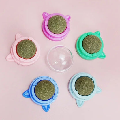 Nutritious Catnip Energy Ball Snacks