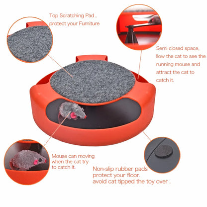 Interactive Triple Disc Cat Toy