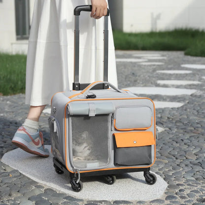 Portable Pet Backpack Stroller Carrier