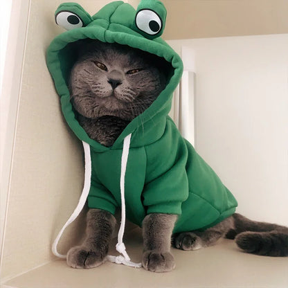 Multiple Adorable Cat Costumes
