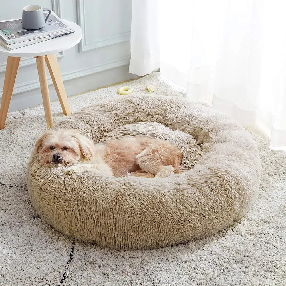 Fluffy Haven Cat Bed