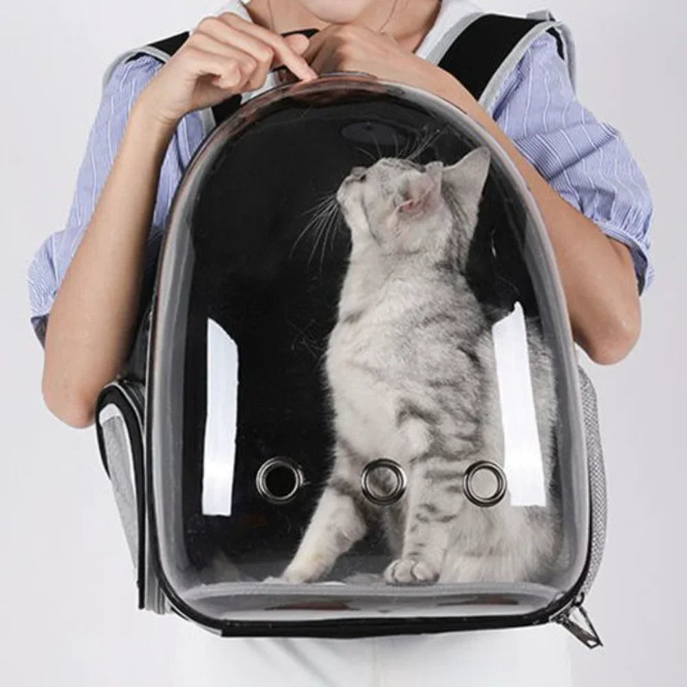 Breathable PetCompanion Skyview Carrier