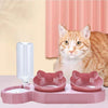 Sip 'n' Snack Station: Cat Bowls with Water Dispenser