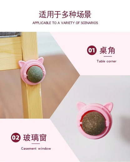 Nutritious Catnip Energy Ball Snacks