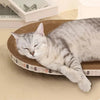 Scratch & Sleep Cat Bed