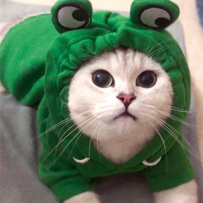 Multiple Adorable Cat Costumes