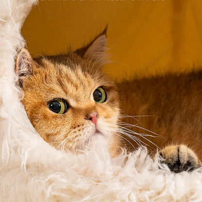 Plush Cozy Bed for Pets