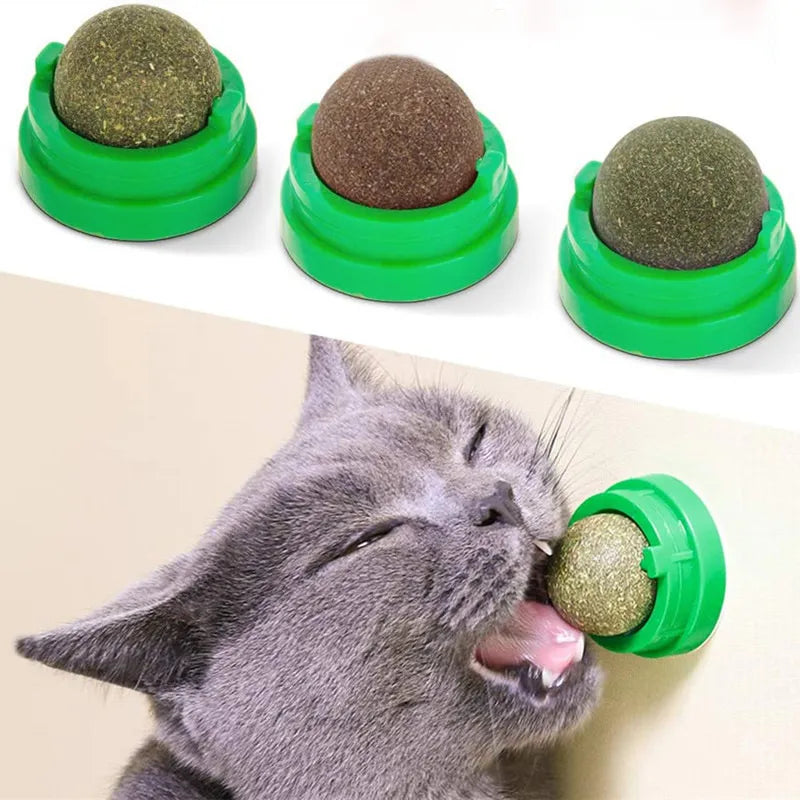 Pawsome Fun Catnip Ball