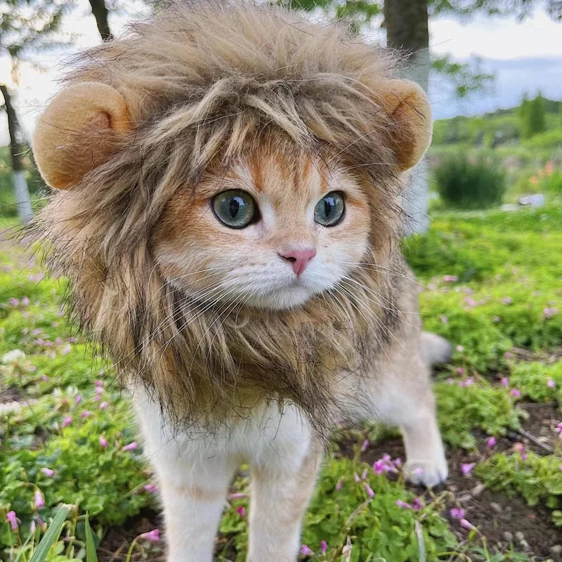 RoarReady Lion Costume