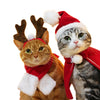 Trendy Christmas Costumes for Cats