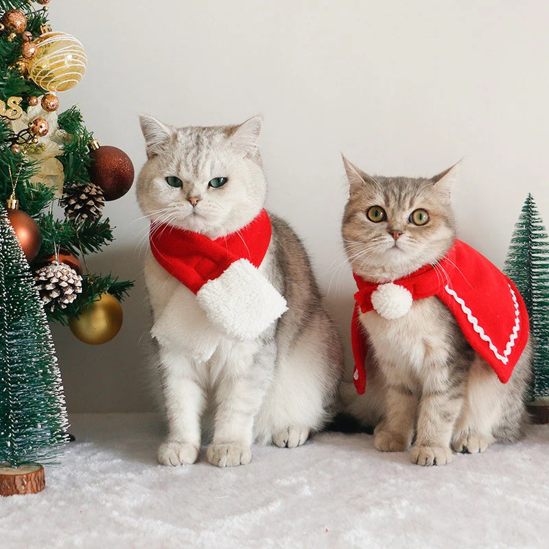 Christmas Pet Hat & Scarf Set