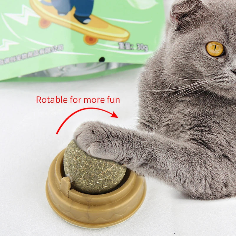 Pawsome Fun Catnip Ball