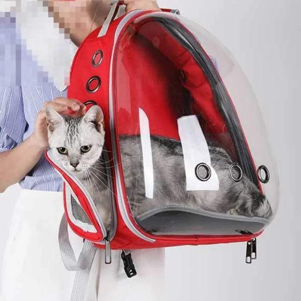 Breathable PetCompanion Skyview Carrier